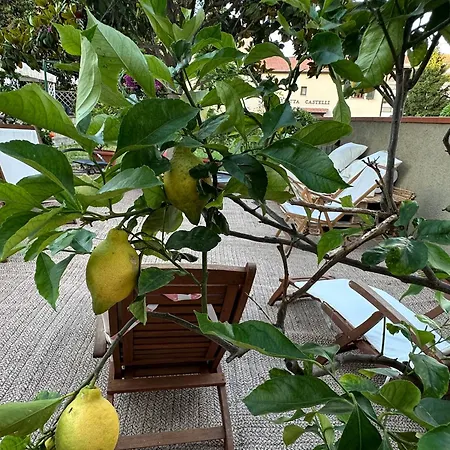 Domus Socolatae Cocoa Journey Tuscan Lifestyle